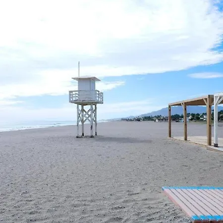 Faro